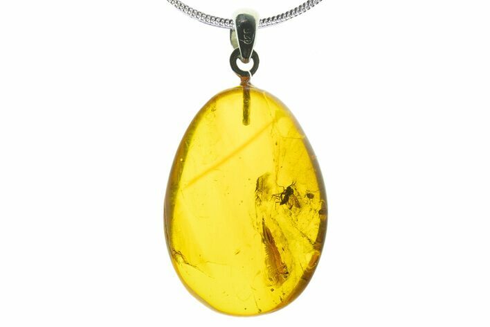 Polished Baltic Amber Pendant (Necklace) - Contains Fly! #339494